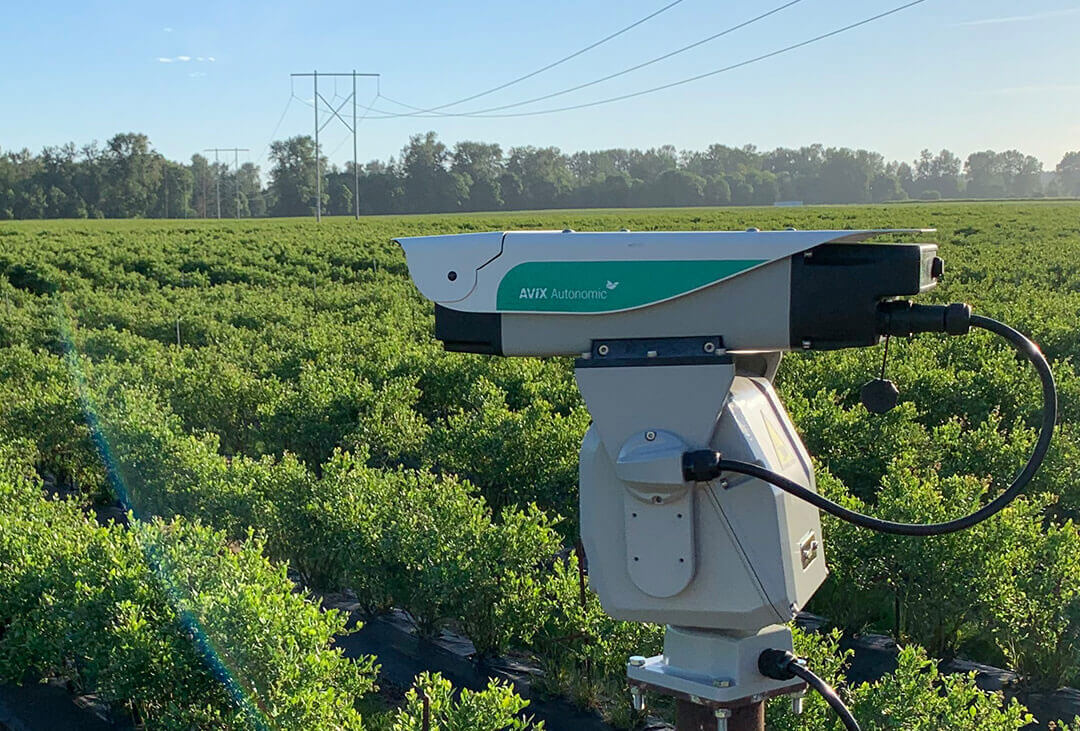 Avix Mark II – RAM Bird Control & Agriculture Management